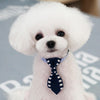 Small Dog Collar Tie Banner Pattern British Style Fashion Style