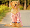 Golden Retriever & Labrador, Hooded Raincoat for Medium to Large Dogs, Waterproof  Rain Coat Jacket S-XL