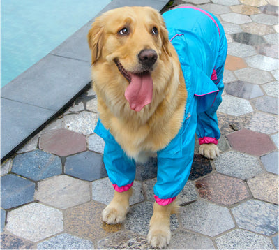 Golden Retriever & Labrador, Hooded Raincoat for Medium to Large Dogs, Waterproof  Rain Coat Jacket S-XL