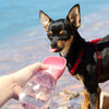 Dog Water Bottle Travel - Dog Bowl For Puppies & Cats - Water Dispenser - 350 ML Portable