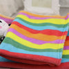 Colorful fleece Soft dog Blanket winter Warm small Pet Cat and Dog